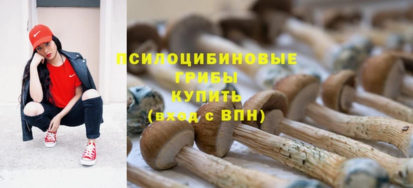 mdpv Дмитриев