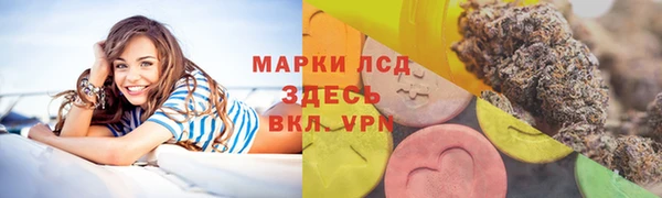 ПСИЛОЦИБИНОВЫЕ ГРИБЫ Дмитров