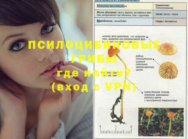 ПСИЛОЦИБИНОВЫЕ ГРИБЫ Дмитров
