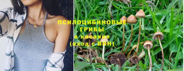 ПСИЛОЦИБИНОВЫЕ ГРИБЫ Дмитров
