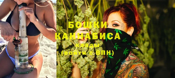 ПСИЛОЦИБИНОВЫЕ ГРИБЫ Дмитров